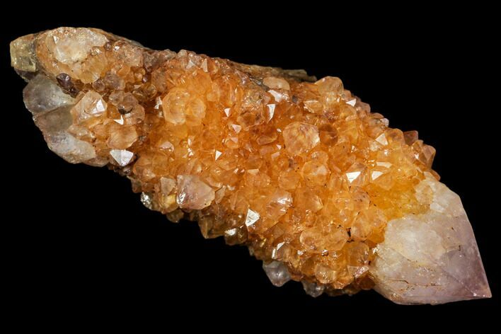 Sunshine Cactus Quartz Crystal - South Africa #115140